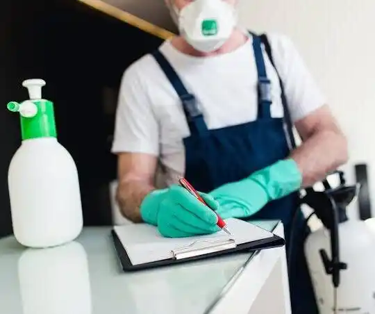 pest control Meadowview